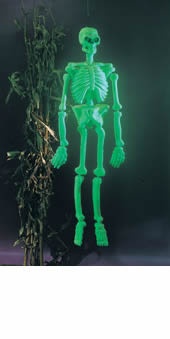 Kostra fluoreskující